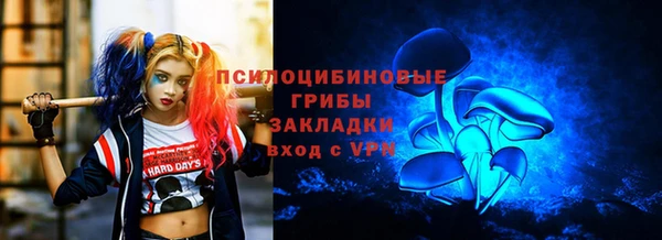 амф Алзамай