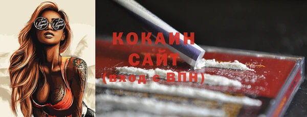 кокс Алексин