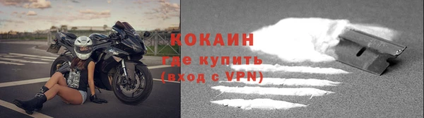 кокс Алексин