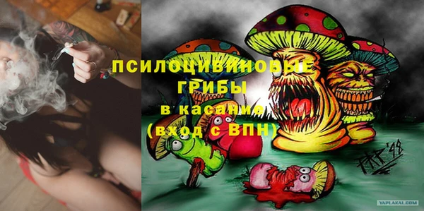кокс Алексин