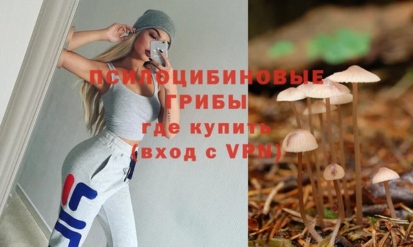 амф Алзамай