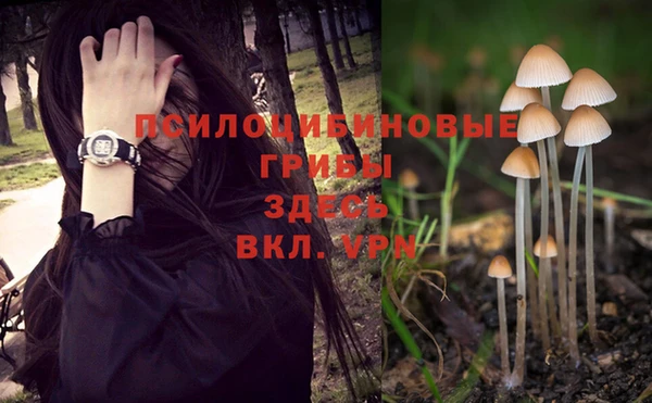 амф Алзамай